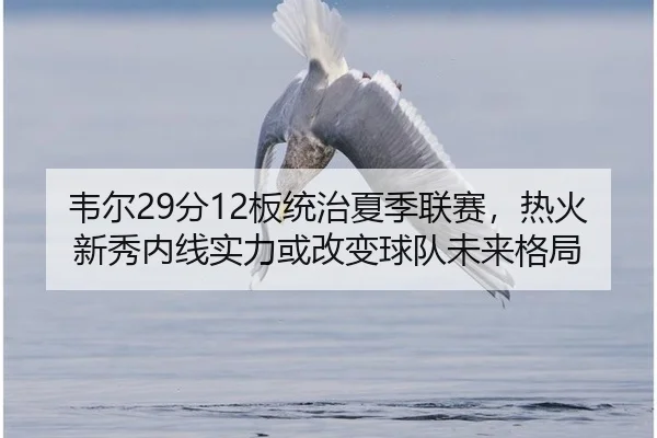 韦尔29分12板统治夏季联赛，热火新秀内线实力或改变球队未来格局