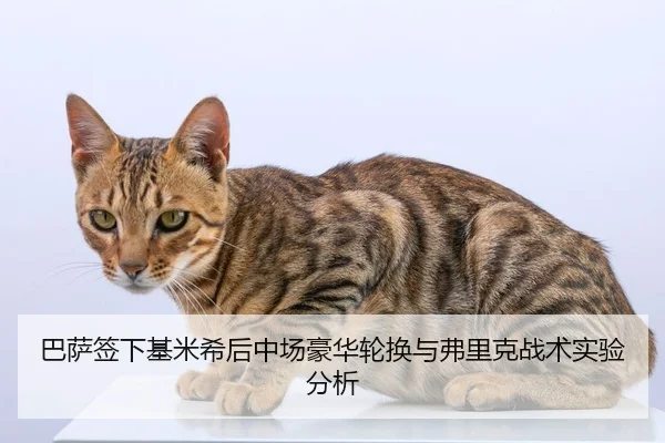 ba-sa-qian-xia-ji-mi-xi-hou-zhong-chang-hao-hua-lun-huan-yu-fu-li-ke-zhan-shu-shi-yan-fen-xi-2-603.jpg