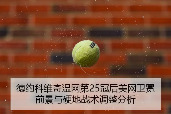 de-yue-ke-wei-qi-wen-wang-di-guan-hou-mei-wang-wei-mian-qian-jing-yu-ying-di-zhan-shu-tiao-zheng-fen-xi-3-180.jpg